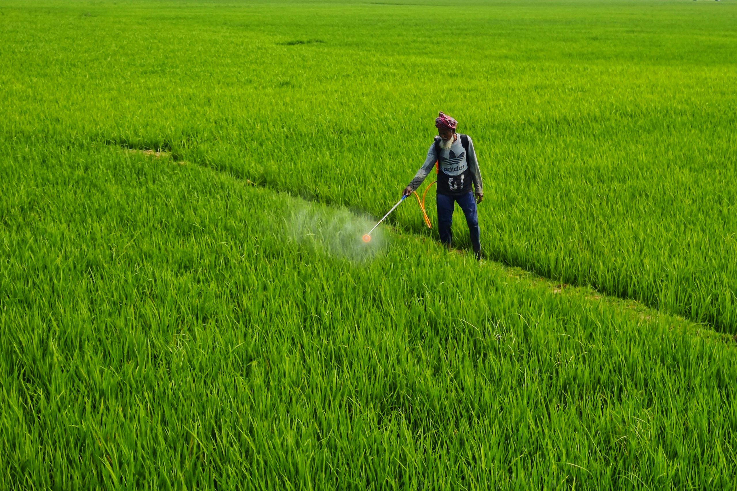 Roundup dosage et précision pour un désherbage efficace